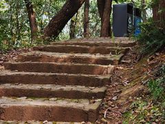 -上海佘山国家森林公园天马山园