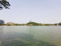 -顺峰山公园