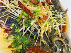 清蒸多宝鱼-富临港·蒸汽海鲜·手抓海鲜·炒菜(栈桥店)