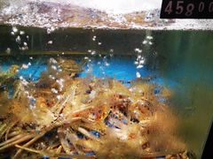 -蟹之国·精品蟹料理(极地店)