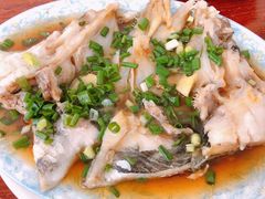 -老杨饭店(万科里店)