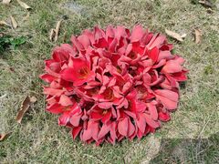 -中国移动南方基地