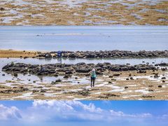 -北海金海湾红树林生态旅游区