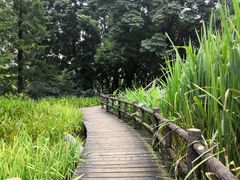 -成都市活水公园