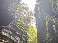 -梭布垭石林景区