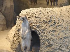 -洛阳龙门海洋馆