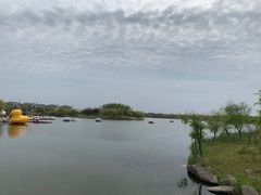 -杭州湾海上花田景区