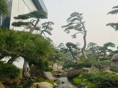 -罗红摄影艺术馆