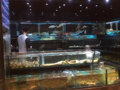 水产区-金翠皇宫粤菜·点心·海鲜(科技园店)