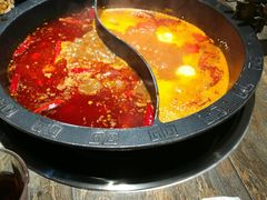 -销魂美蛙鱼头火锅(上海首店)