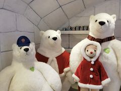 -济州岛泰迪熊博物馆