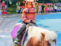 -杭州少年儿童公园
