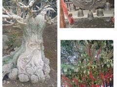 -东台西溪天仙缘景区