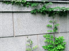 -大关公园