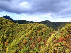 -秦岭风景区