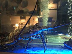 -大红袍火锅料理(尖沙咀店)