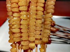 -京狮炙燥·精酿烧烤(首经贸店)