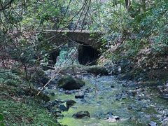 -夏霖九天银瀑风景区