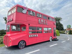 -荷兰花海
