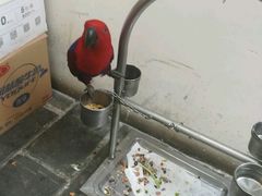-丽江庭院之爱在路上(西单店)