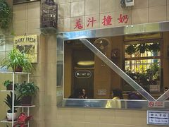 -义顺牛奶公司(新马路老店)