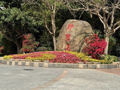 -野狸岛