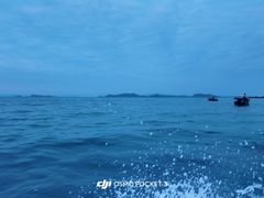 -杨梅坑