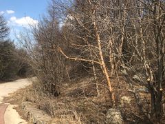 -白草畔自然风景区