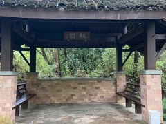 -杭州半山国家森林公园