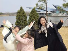 -盐城丹顶鹤湿地生态旅游区