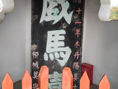 -戏马台景区