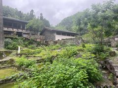 -MOJ coffee(瓯海泽雅水碓坑店)