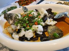 -陶缘一号·四季缘·老字号顺德菜·户外婚礼家宴(西滘店)
