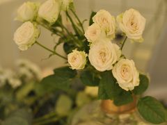 -COTTON CAFE(德信·中外公寓店)