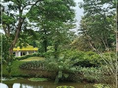 -中国科学院西双版纳热带植物园