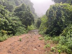 -午潮山国家森林公园