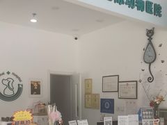 -中农国际动物医院24小时·猫科·骨科·急重症中心