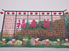 -合肥滨湖国家森林公园