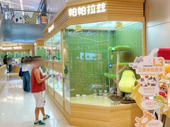 -首开·龙湖成都西宸天街