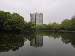 -鲁迅公园-垂钓中心