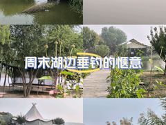 -西青郊野公园