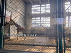-太原动物园