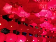 -南宫五洲植物乐园