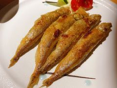 -锦鲤堂日本料理(莱茵之星店)