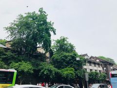 -磁器口古镇
