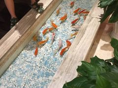 -郑庄脂渣海鲜楼(九水路店)