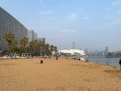 -金沙湖公园