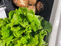 -京韵胡同·酱香羊蝎子火锅涮肉(长寿路店)