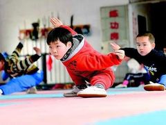 -武术世家少儿培训中心(首都体育学院店)