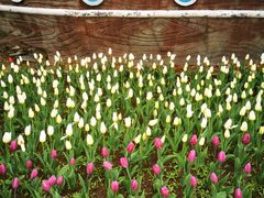 -长春公园(普阳街道)